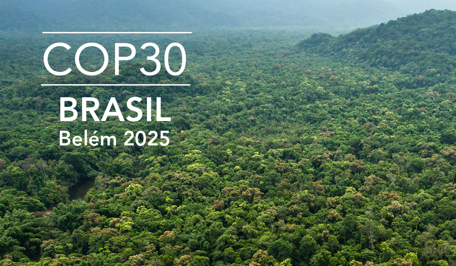 Tropischer Regenwald_© Gustavo Frazao_Shutterstock